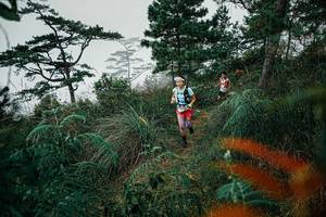 BIB: 
                            <button type="button" onclick="openModal(25257949)" class="btn btn-primary btn-sm float-right btn-popup" data-toggle="modal" data-target=".modal-high-quality">
                        <i class="fas fa-shopping-cart"></i> Add to Cart
                    </button>
                                            <button type="button" onclick="isThisMe(25257949, true)" class="btn btn-success btn-sm float-right btn-popup btn-isme hidden" data-toggle="tooltip" data-placement="bottom" title="นี่คือรูปของคุณใช่ไหม คลิกที่นี่เพื่อเอาเข้าอัลบั้ม">
                        <i class="fas fa-plus"></i> Add to album
                    </button>
                    <button type="button" onclick="isThisMe(25257949, false)" class="btn btn-warning btn-sm float-right btn-popup btn-isnotme hidden">
                        <i class="fas fa-ban"></i> Remove from album
                    </button>